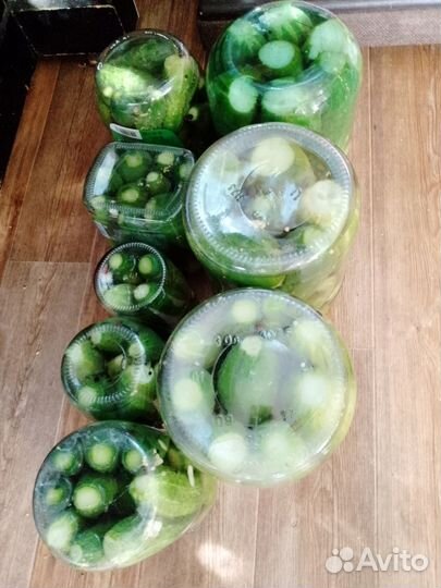 Огурцы с грядки, капуста, свекла, кабачки помидоры