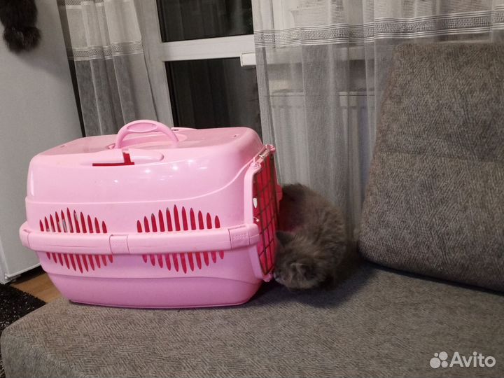 Переноска для кошек пластиковая