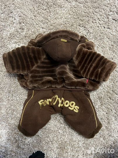 Одежда для собак