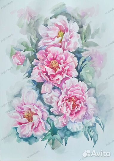Картина акварелью пионы