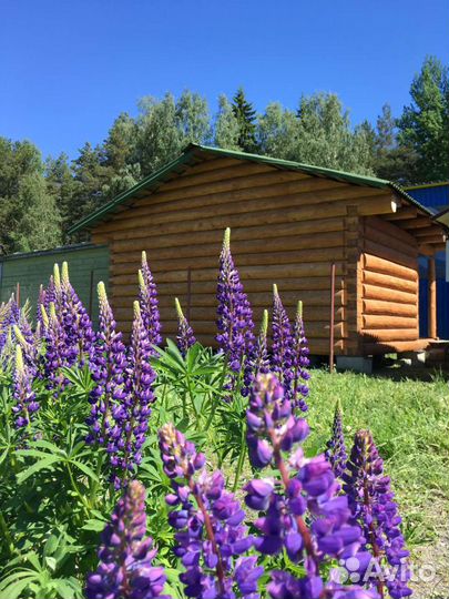 Баня из бревна 5*3+2м