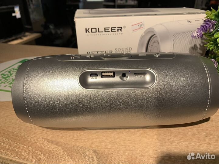 Колонка Koleer S1000
