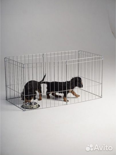 Вольер для собак