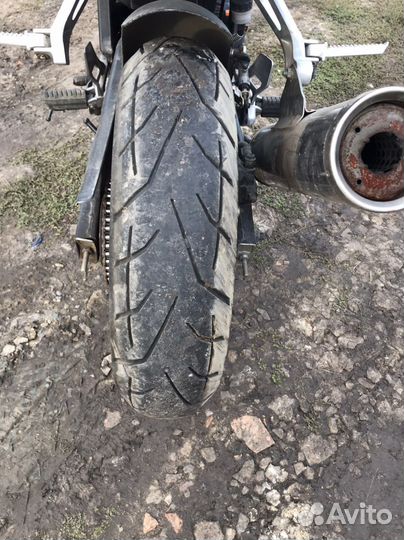 Patron sport 250