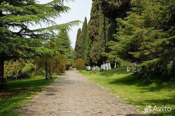 Туры в Абхазию