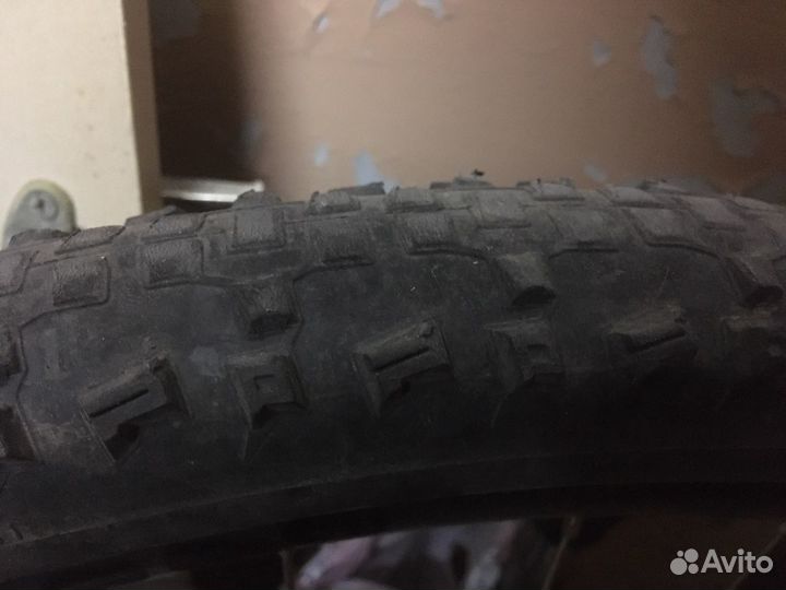 Покрышки schwalbe rapid rob 27.5