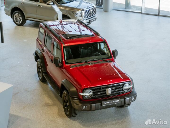 Tank 300 2.0 AT, 2024