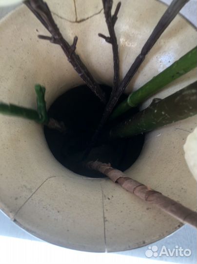 Композиция ваза с цветами вьетам раритет