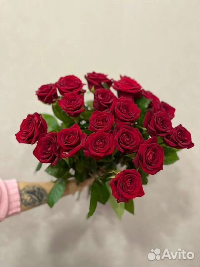 Роза красная