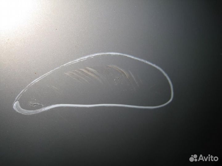 Капот Citroen xsara picasso 2005