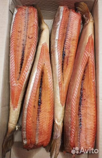 Форель балык, холодного копчения