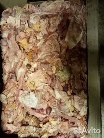 Корм собакам и др. Животным