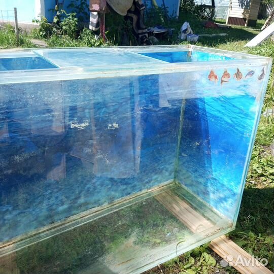 Аквариум
