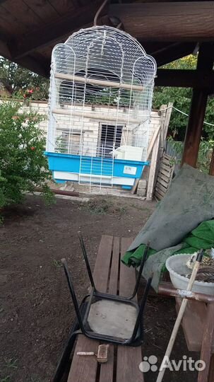 Клетка для попугая бу
