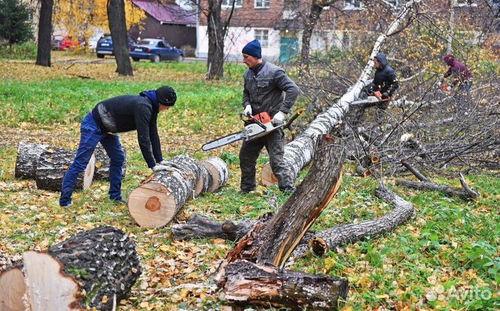 Вывоз мусора, спил деревьев, демонтаж