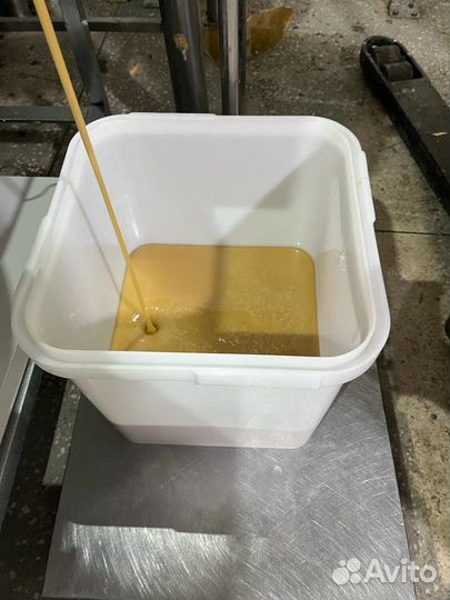 Разнотравье свежий мед оптом опт