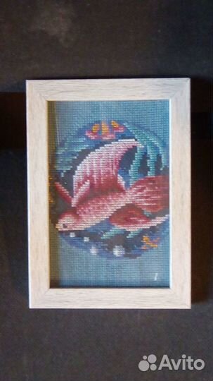 Рыбка петушок