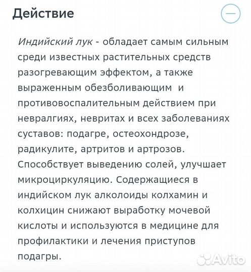 Лук индийский лечебный