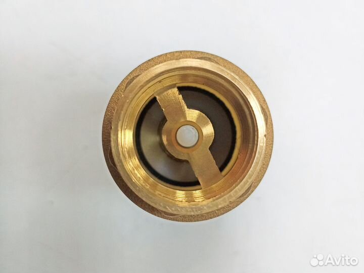 Обратный клапан с сеткой 3/4