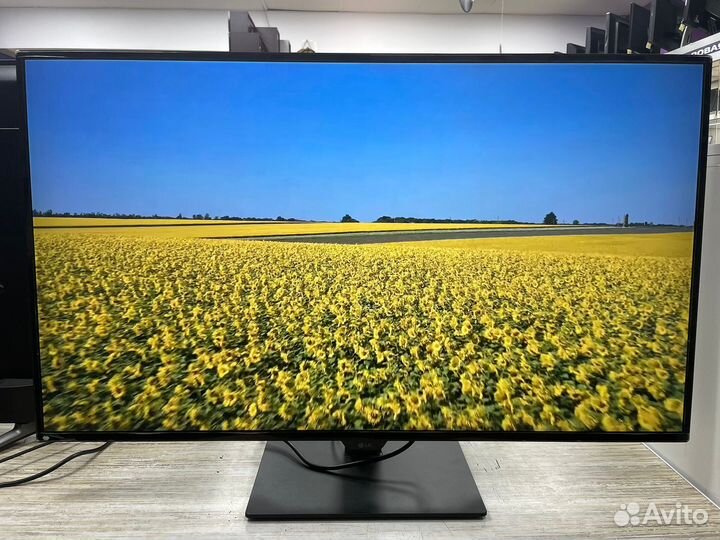 Монитор lg 43