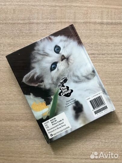 Записная книжка с котиками