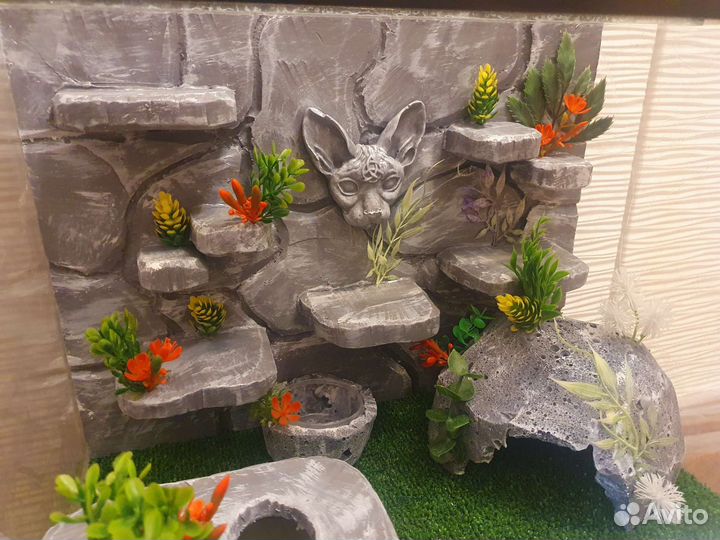 Новые террариумы для рептилий 