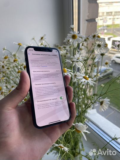 iPhone 12 mini