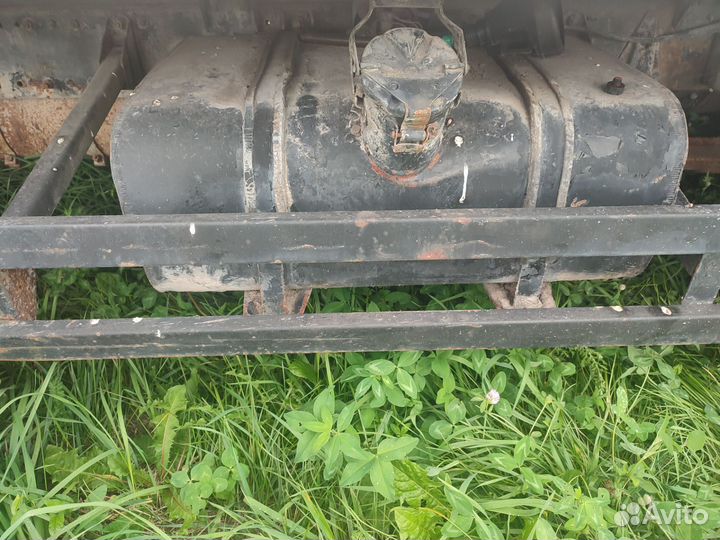 Маз зубрёнок