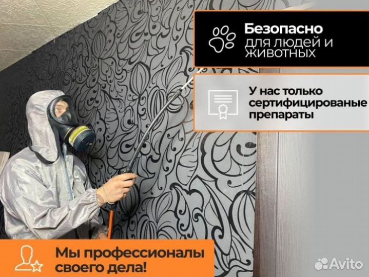 Уничтoжeние тapaканов, кротoв, клопoв. Дезинфeкция