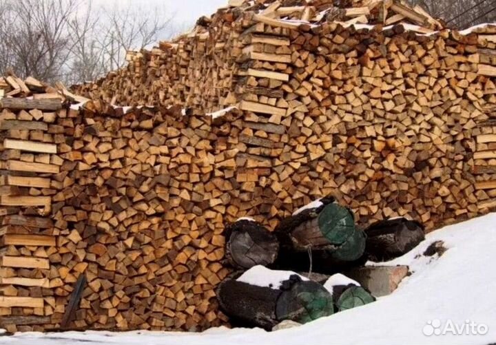 Дрова в Сертолово