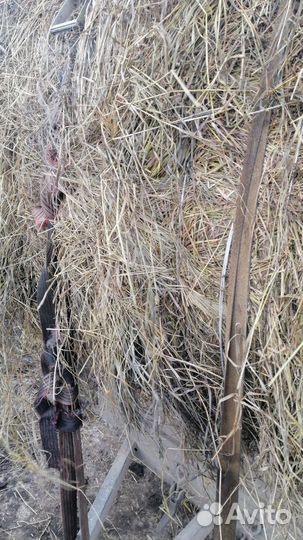 Продам сено в рулонах 2023