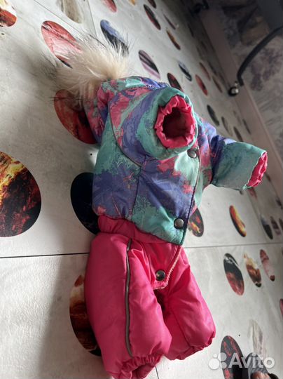 Комбенизон для маленькой собачки