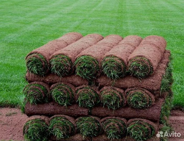 Рулонный газон