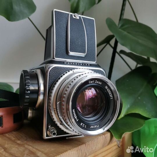 Hasselblad 500C + Carl Zeiss Planar 80 2.8