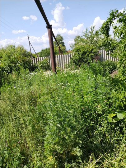 Дом 43,8 м² на участке 10 сот.