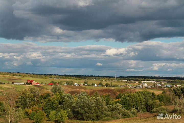 Конные прогулки. Походы. Активные выходные