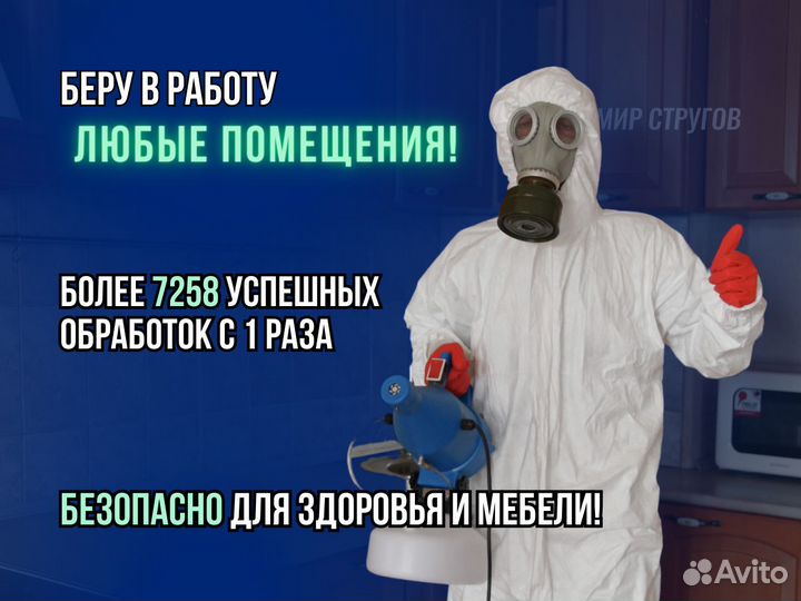 Дезинфекция. Обработка от клещей