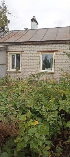 Дом 81 м² на участке 33 сот.