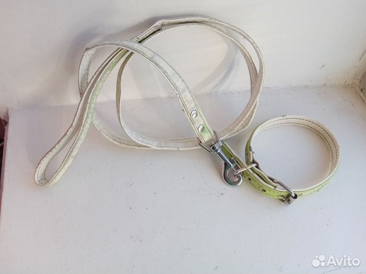 Ошейник и поводок для мелкой собаки