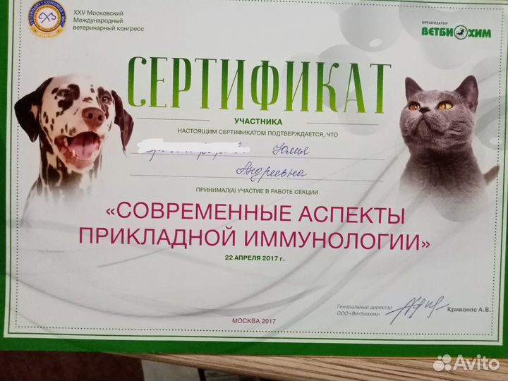 Кинолог, зоопсихолог. Дрессировка. В зале. Выезд