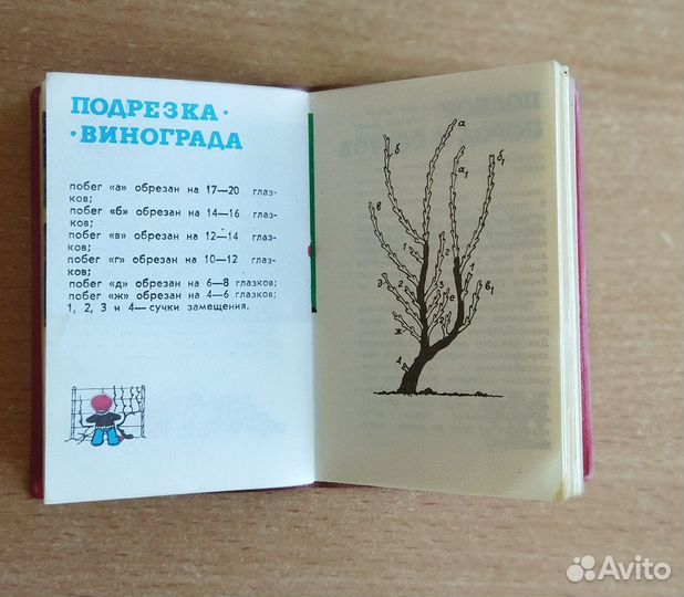 Календарь СССР, 1983 год