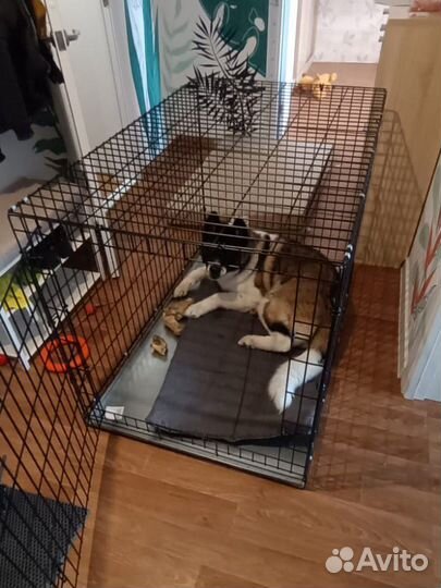 Клетка вольер для собак #6 крупных пород