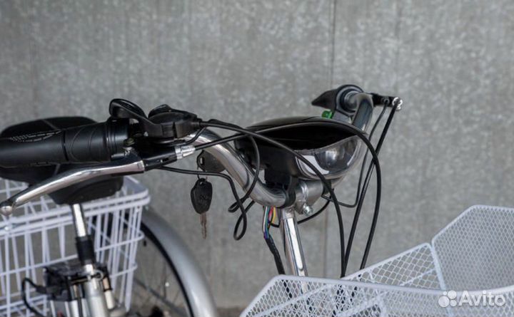 Трехколесный электровелосипед Чемпион (Зеленый)