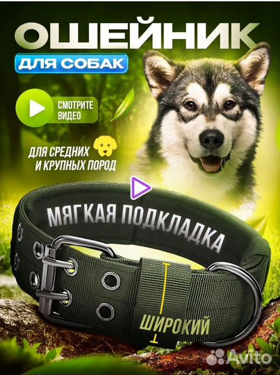 Ошейник для крупной собаки