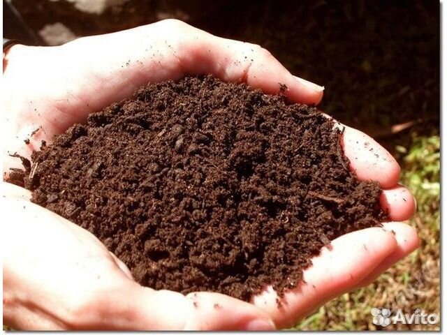 Купить Чернозем навоз перегной с доставкой