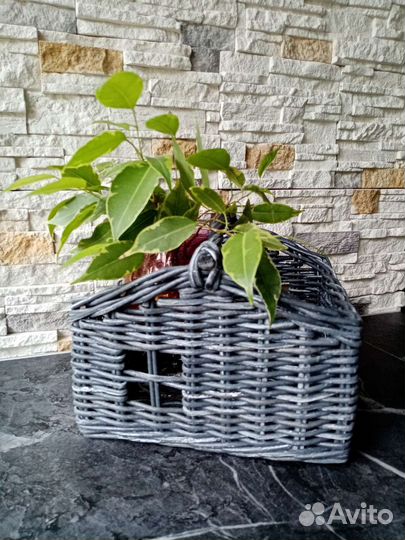 Корзина плетеная