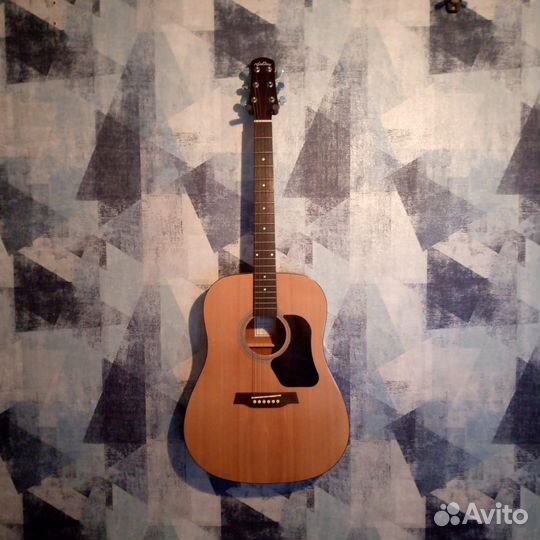 Акустические гитары Walden, Fabio, Veston