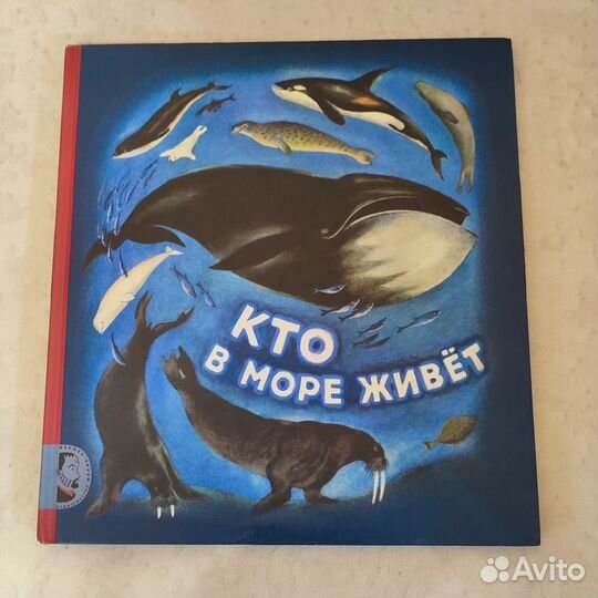 Книга Сахарнов Кто в море живет