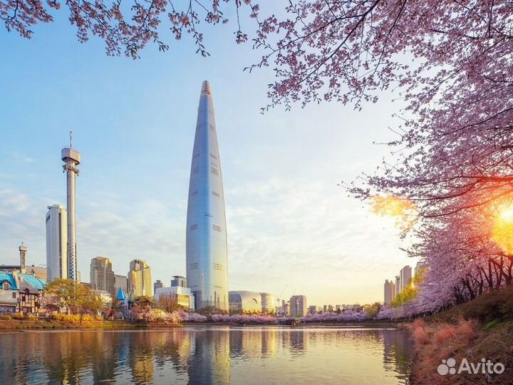 Экскурсия — Сеул — Символы Современного И Древнего