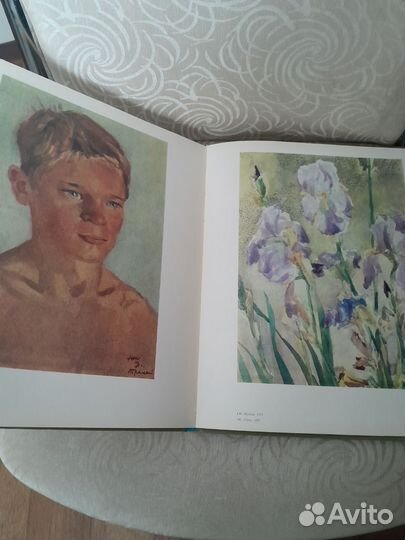 Книга Н.Н.Жуков